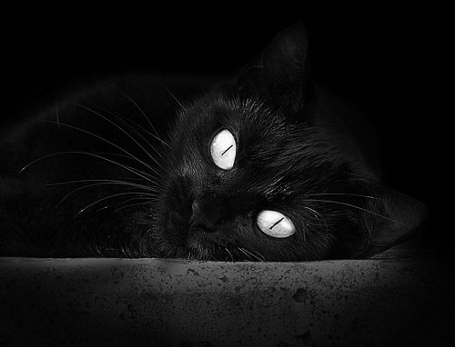 _魔术队士气高涨,期待突破难关_,魔术队战术