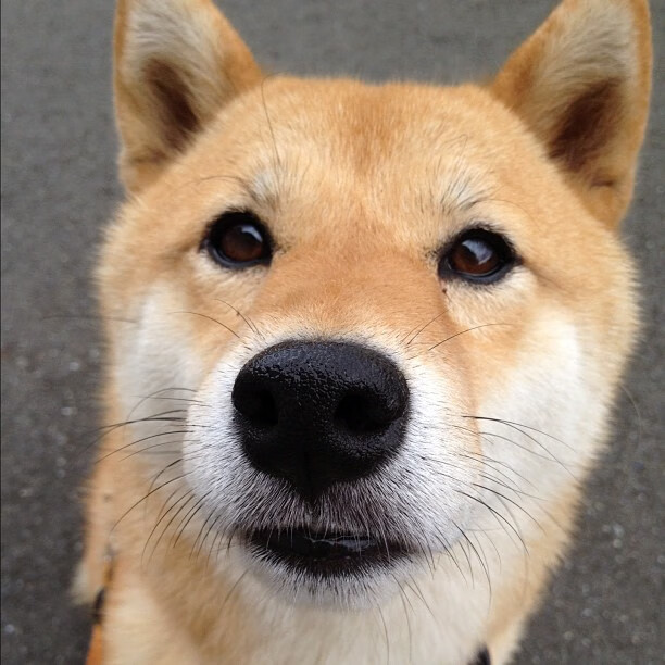 开云官方网站-全国青少年“未来冠军”训练营在深圳启动，培养青少年运动领袖