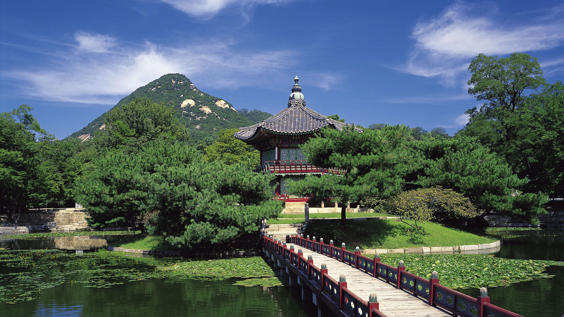 全国青少年“梦想起飞”篮球马拉松精彩纷呈,2020马拉松蓝皮书