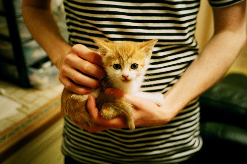 开云体育网页版入口-欧冠夜空星光闪耀，明星球员的足球盛宴，欧冠热门球星