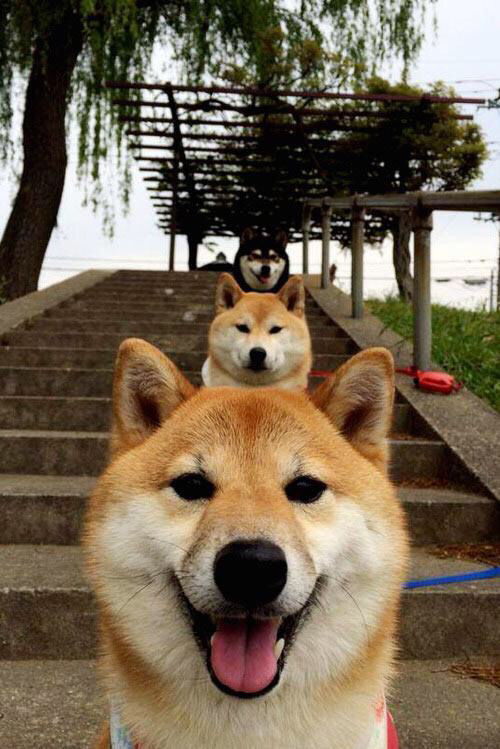 电竞选手因伤退役,粉丝众筹助其完成复健计划,电竞选手 退役