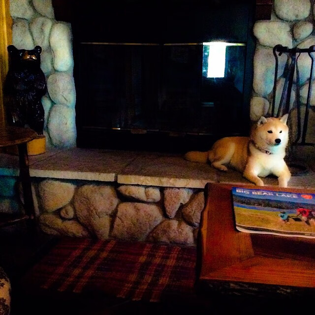 绝地求生 选手战术配合再升级，绝地求生 选手战术配合再升级是什么