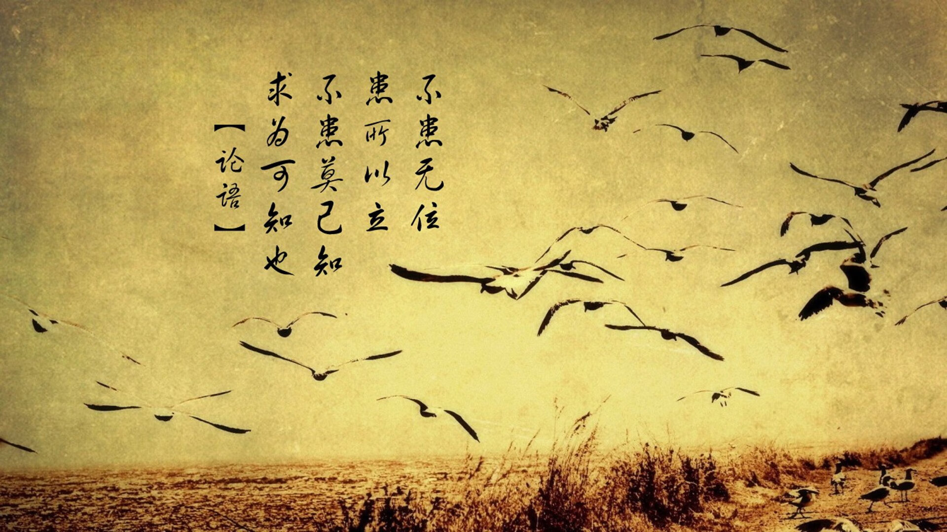 上海海港球员荣获月度最佳,上海海港球员年薪