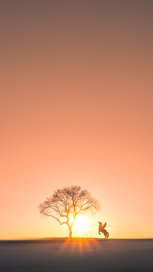 乌迪内斯主场经过激烈比拼取得胜利,豪取分,乌迪内斯队