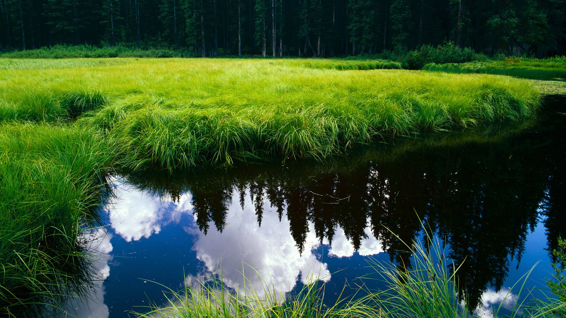 Team Liquid止步世界赛小组赛