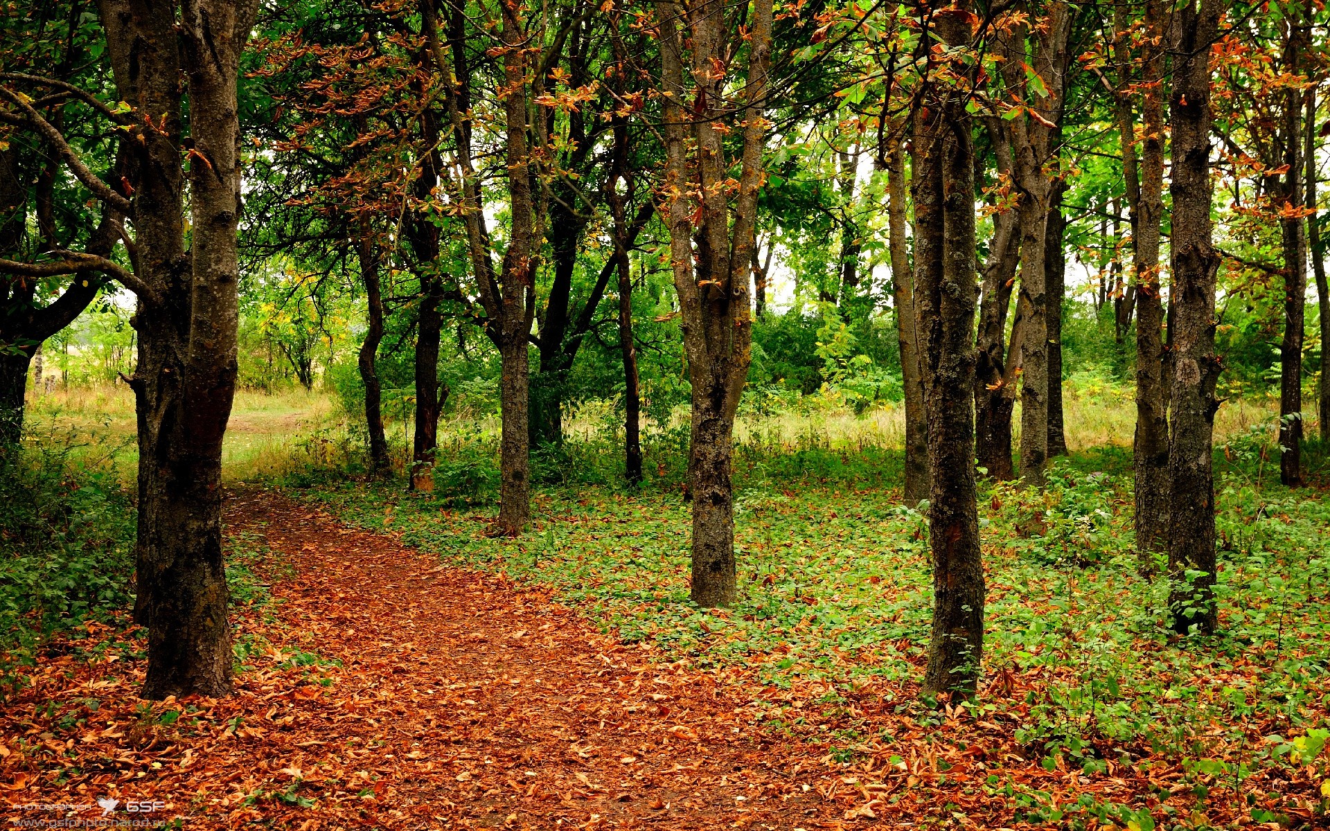 开云·Kaiyun网页版-匈牙利实现大逆转，让人刮目相看，匈牙利有多厉害