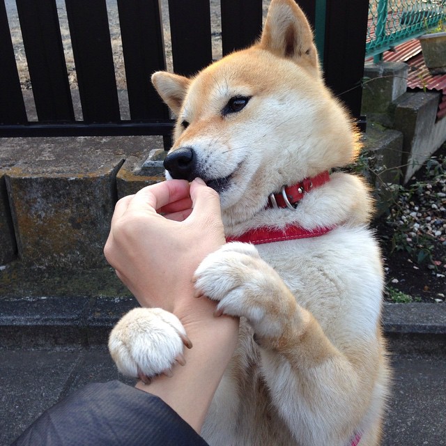 Kaiyun官方登录入口-热刺遭遇桑德兰绝杀，英超积分榜上表现不尽如意，英超冠军热刺