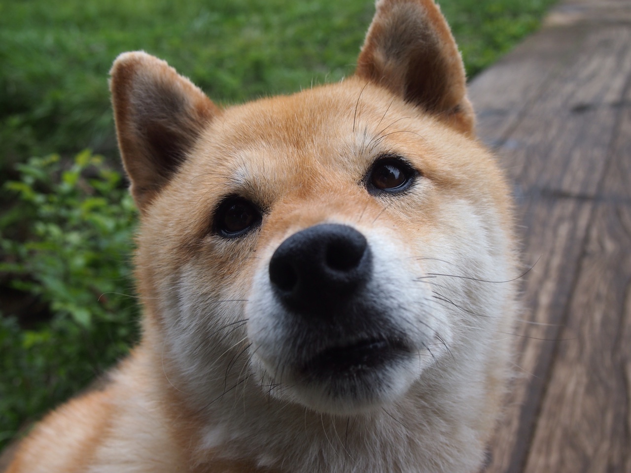 KAIYUN 中国大陆-热刺遭遇连败，主帅下课传闻四起，热刺最新主帅