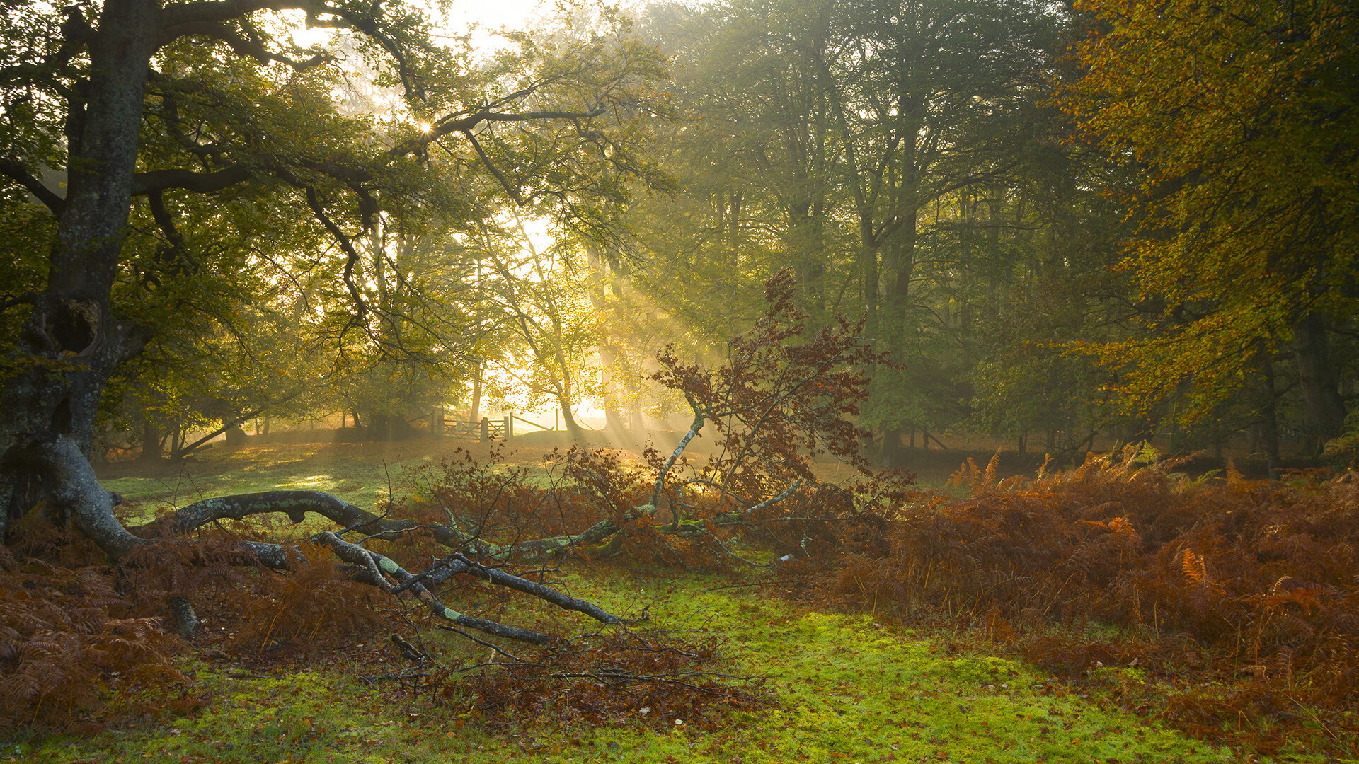 恒大对阵韩国球队，争夺决赛席位，韩媒_ 外援太无解! 恒大进8强妥妥的 心疼韩国门将
