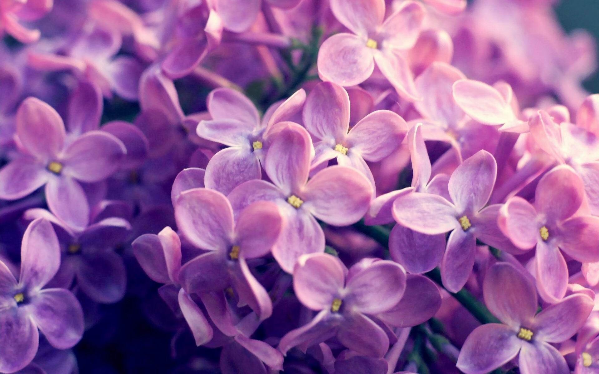 开云官网-瓦伦西亚客场落败，西甲前十位置有所滑落，瓦伦西亚队主场