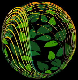 开云平台-未来青训：生态系统构建助推足球强国梦，足球生态系统建设