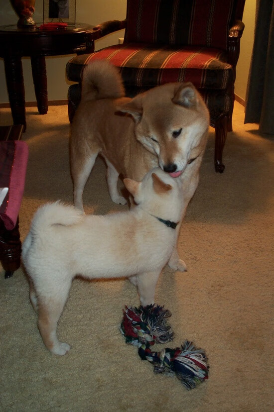 英超球队结合GPS数据调整赛季体能负荷，英超体育