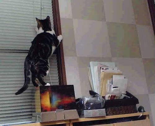 青少年体育锻炼习惯形成机制及干预策略,青少年体育锻炼的价值与意义