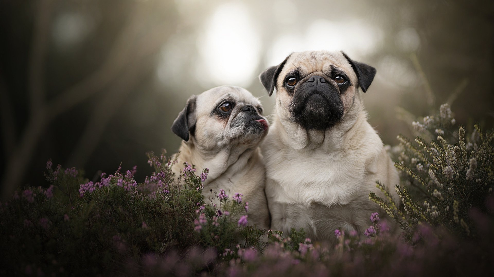 开云·体育全站登录地址-体育新闻中心协助地方体育局开展内容数字化转型，体育数字化转型存在的问题