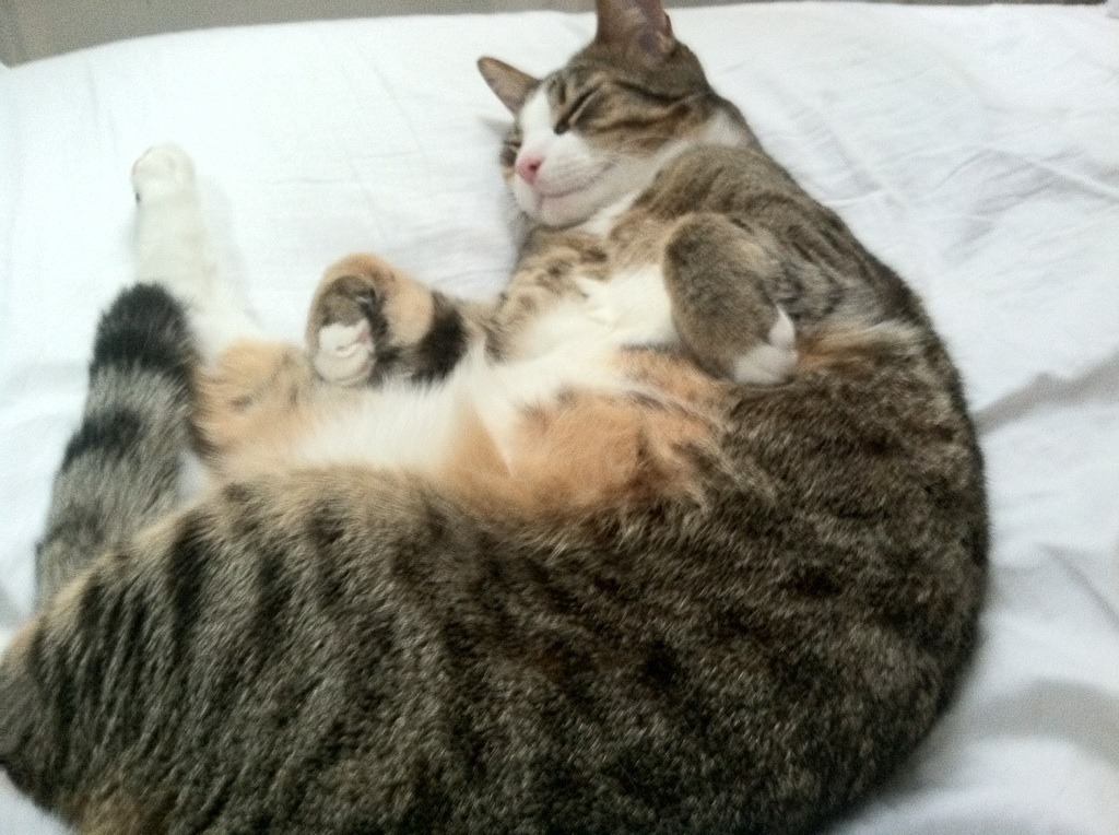 kaiyun开云·官方网站-谁将成为本季MVP候选最热人选，今年谁是mvp