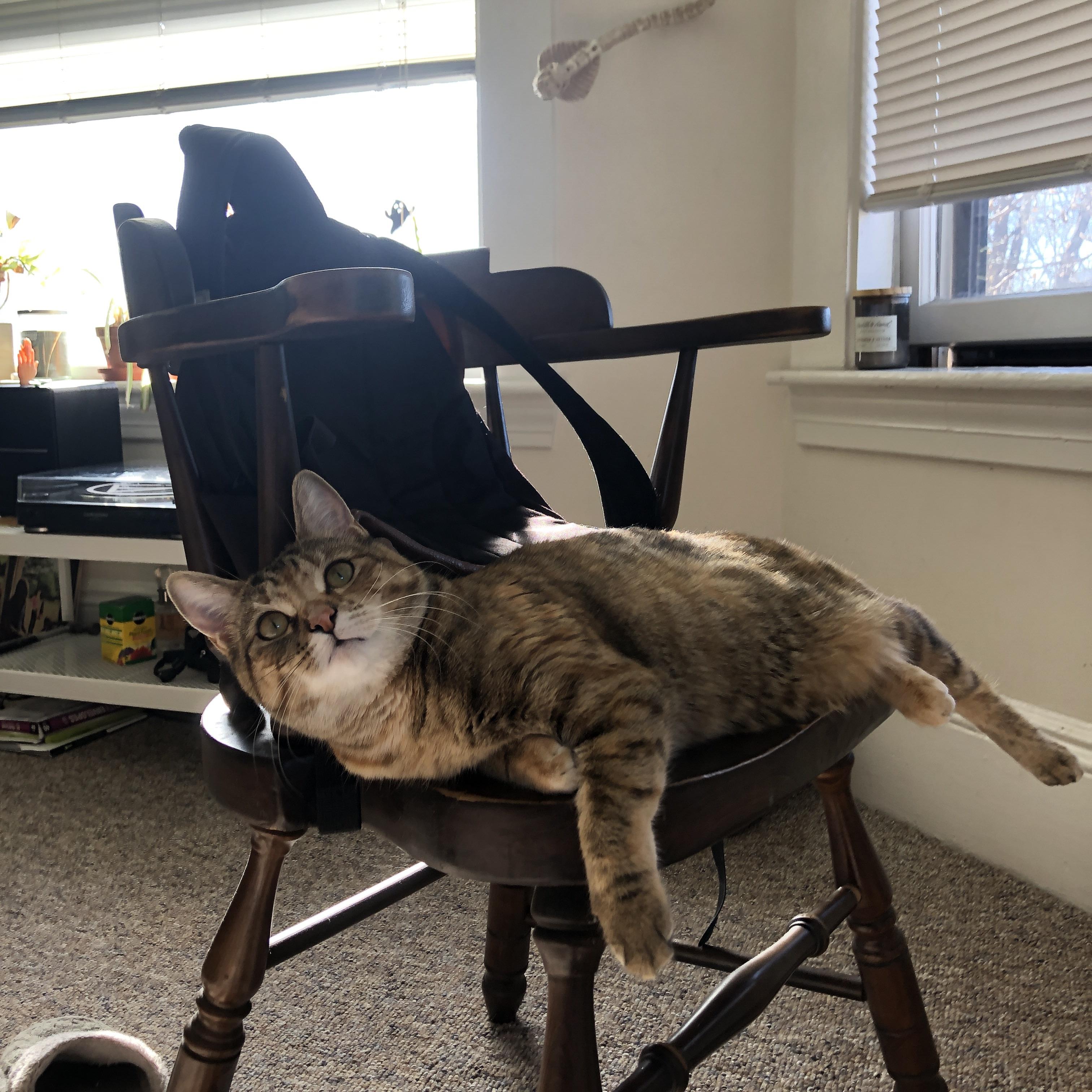 防守型中场撑起拦截屏障,防守型中场是后腰么