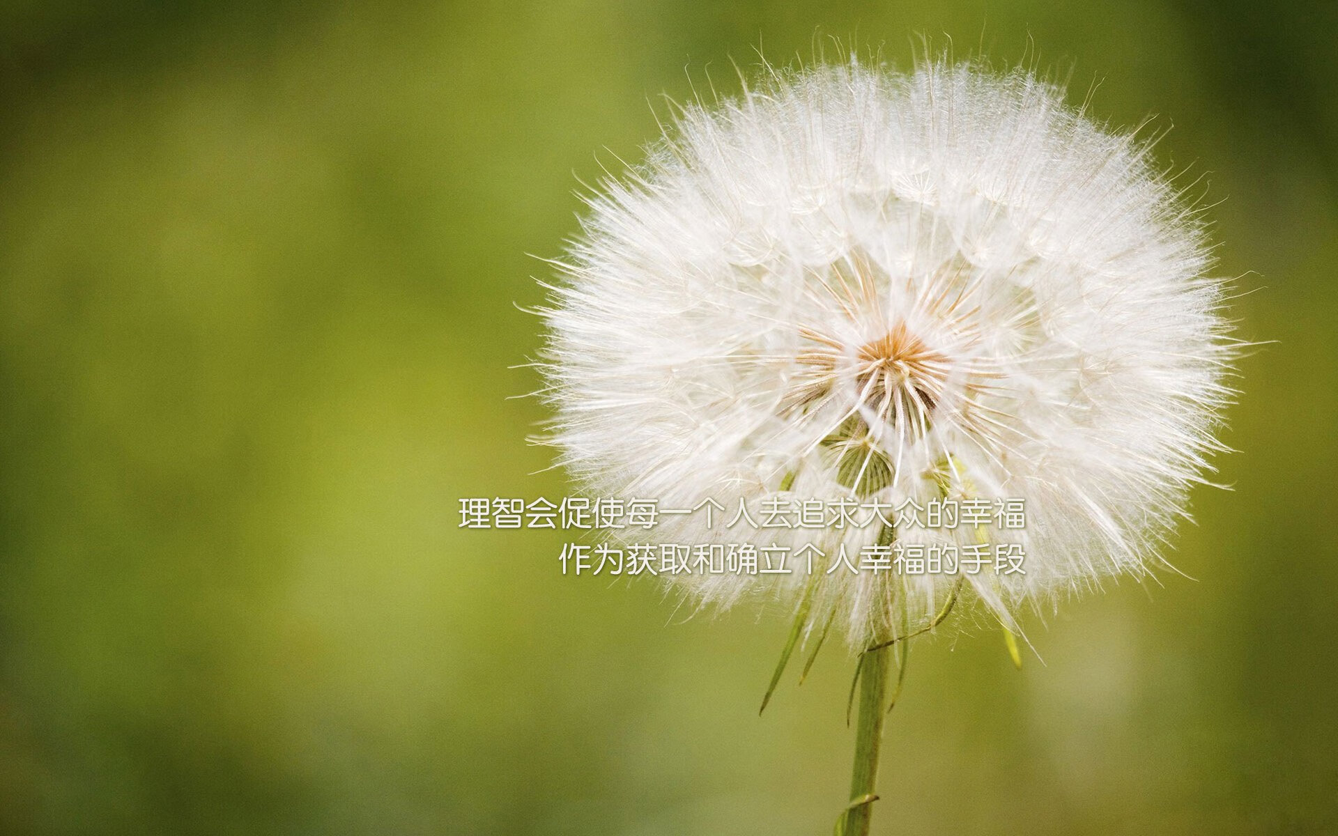 国家队采用科学康复计划缩短球员恢复周期，国家队康复训练