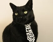 Kaiyun(中国)开云-塔特攻防一体，袋鼠队的全能球员，塔特攻防一体,袋鼠队的全能球员叫什么