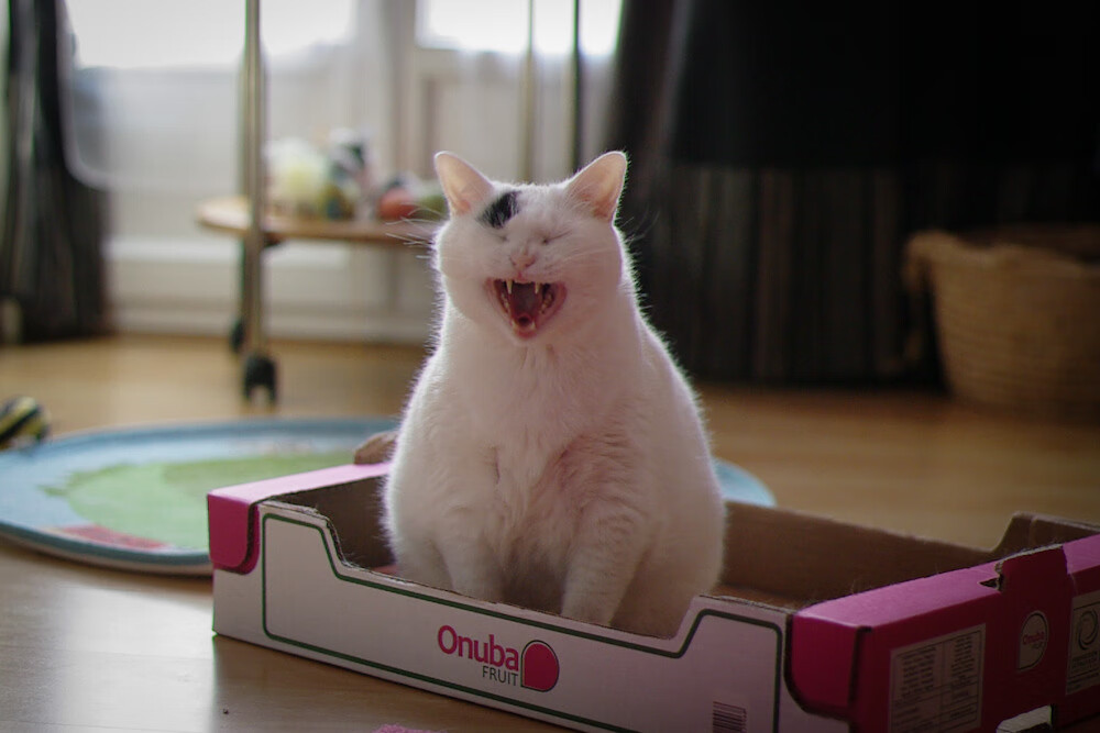 女篮国家队设立专项技术培训促进提升,女篮新手团队训练方法