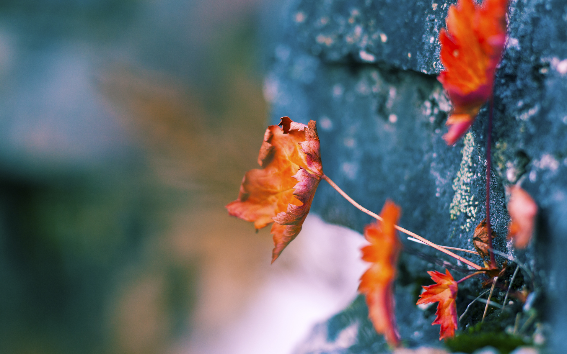 意甲激情对抗：从防守到进攻的完美转换，意甲情节