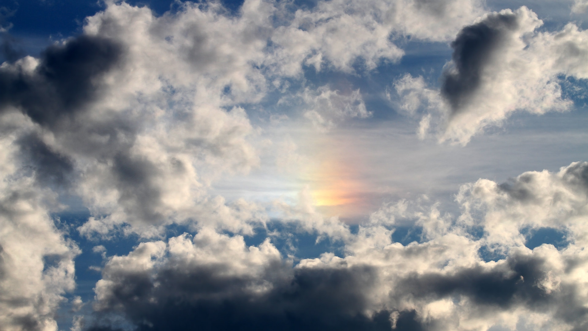 爱尔兰橄榄球产业政策推动赛事国际化,爱尔兰篮球联赛